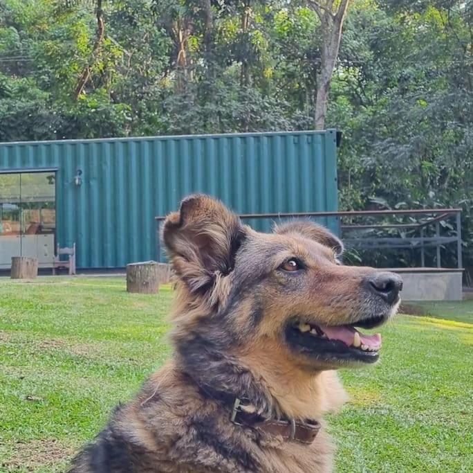 فيلا ساو باولوفي Casa Container Na Represa De Guarapiranga! Sonho! المظهر الخارجي الصورة